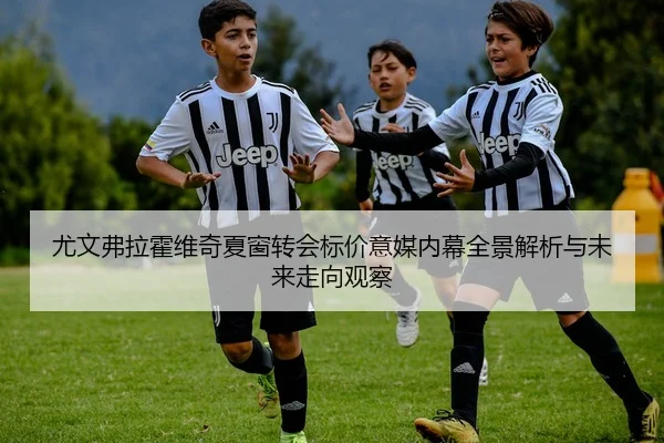 尤文弗拉霍维奇夏窗转会标价意媒内幕全景解析与未来走向观察