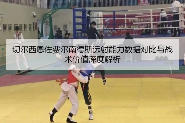 切尔西恩佐费尔南德斯远射能力数据对比与战术价值深度解析