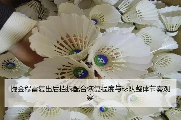 掘金穆雷复出后挡拆配合恢复程度与球队整体节奏观察