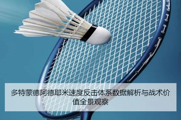 duo-te-meng-de-a-de-ye-mi-su-du-fan-ji-ti-xi-shu-ju-jie-xi-yu-zhan-shu-jia-zhi-quan-jing-guan-cha-2-306.jpg