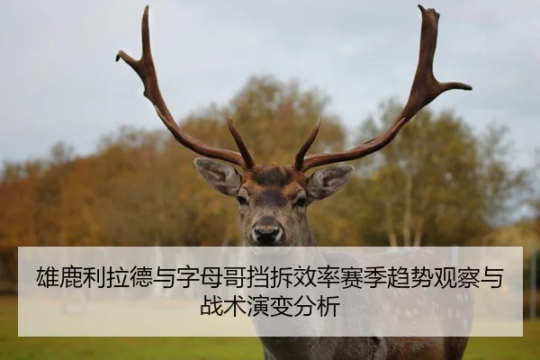 雄鹿利拉德与字母哥挡拆效率赛季趋势观察与战术演变分析