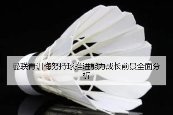 曼联青训梅努持球推进能力成长前景全面分析