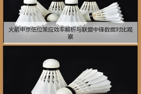 火箭申京低位策应效率解析与联盟中锋数据对比观察