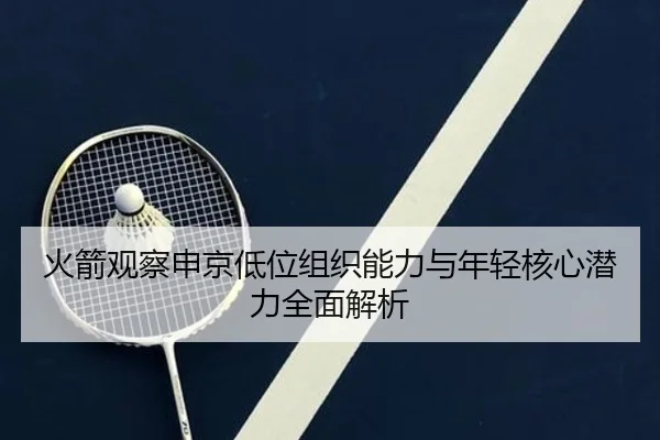 火箭观察申京低位组织能力与年轻核心潜力全面解析