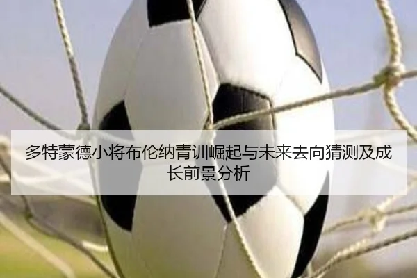 多特蒙德小将布伦纳青训崛起与未来去向猜测及成长前景分析